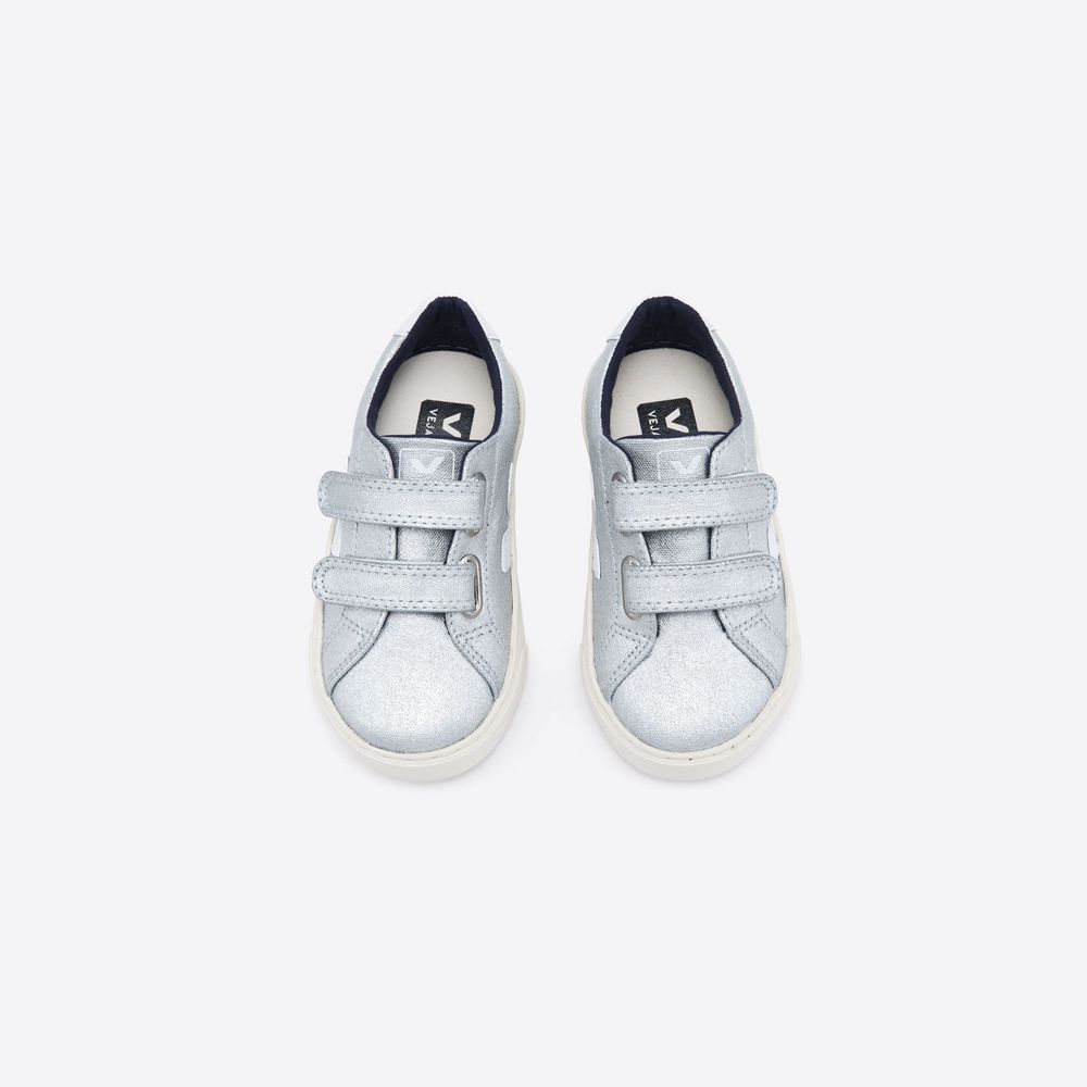 Veja esplar hotsell silver canvas